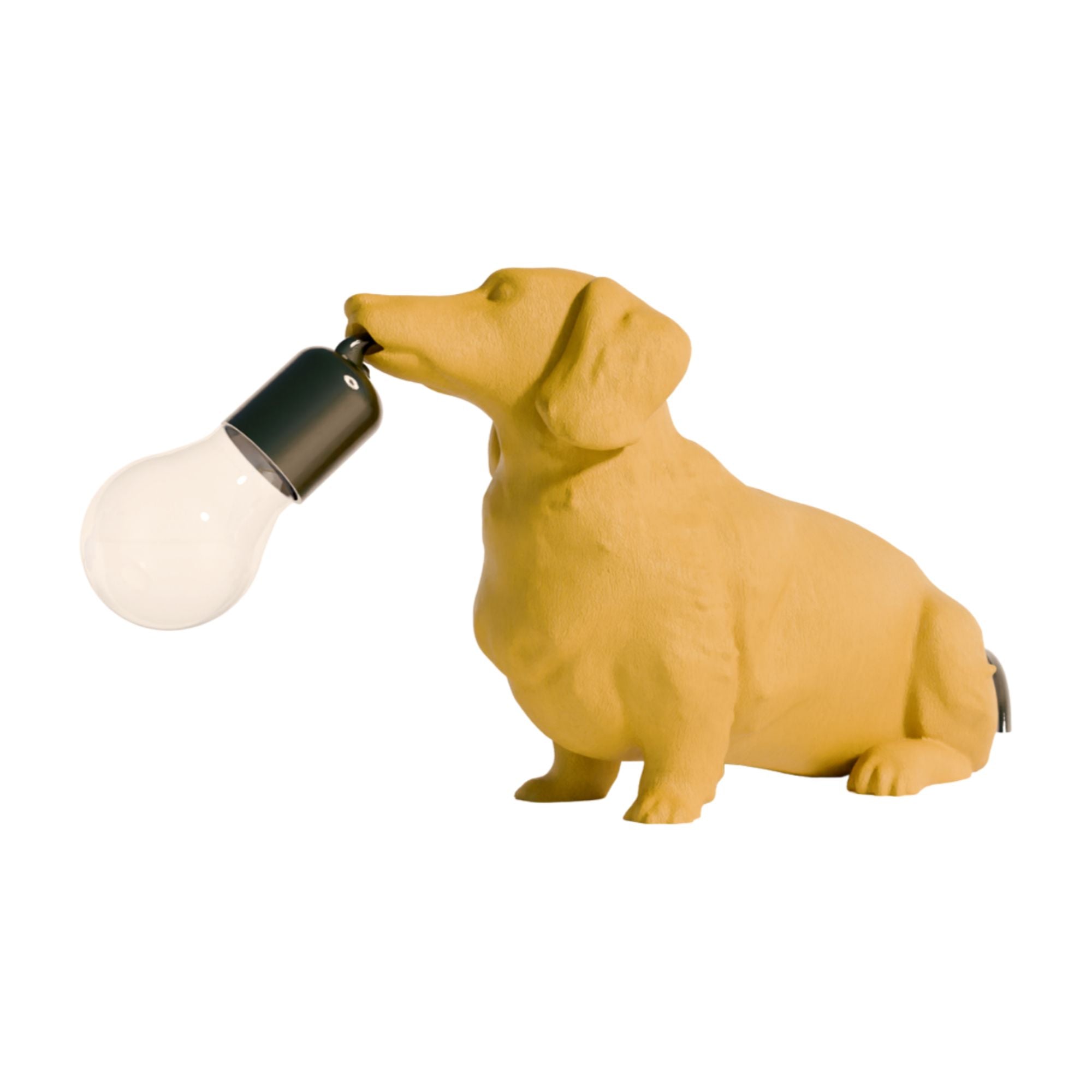 Personalized Dog Lamp